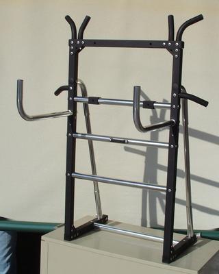 iFlyer frame