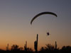 Desert Tandem