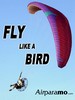 Fly Like A Bird